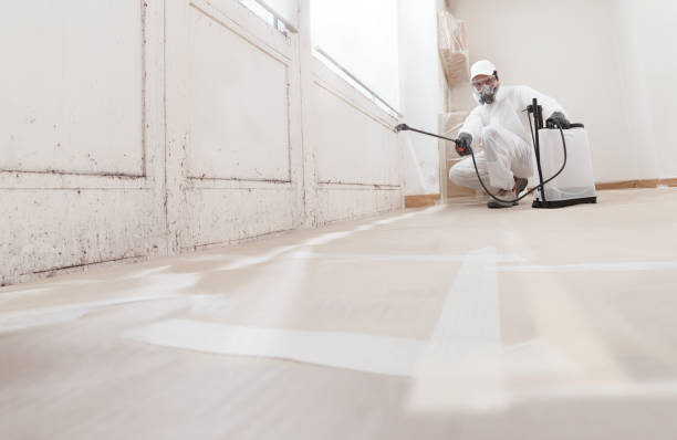 Certified remediation work in Washington, WA